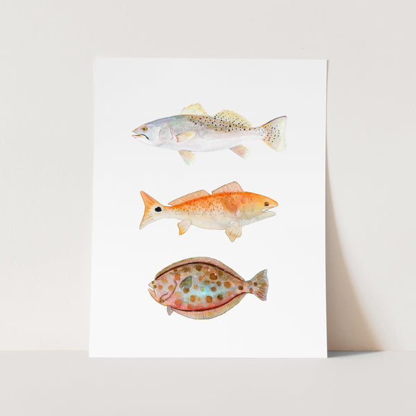 Texas Grand Slam - 3 Fish Art Print